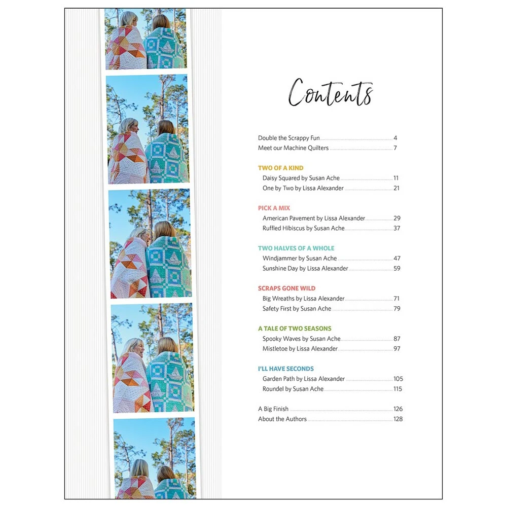 Two Of A Kind Quilts - Lissa Alexander And Susan Ache - Book 3 Two Of A Kind Quilts - Lissa Alexander And Susan Ache - Book - Image 3