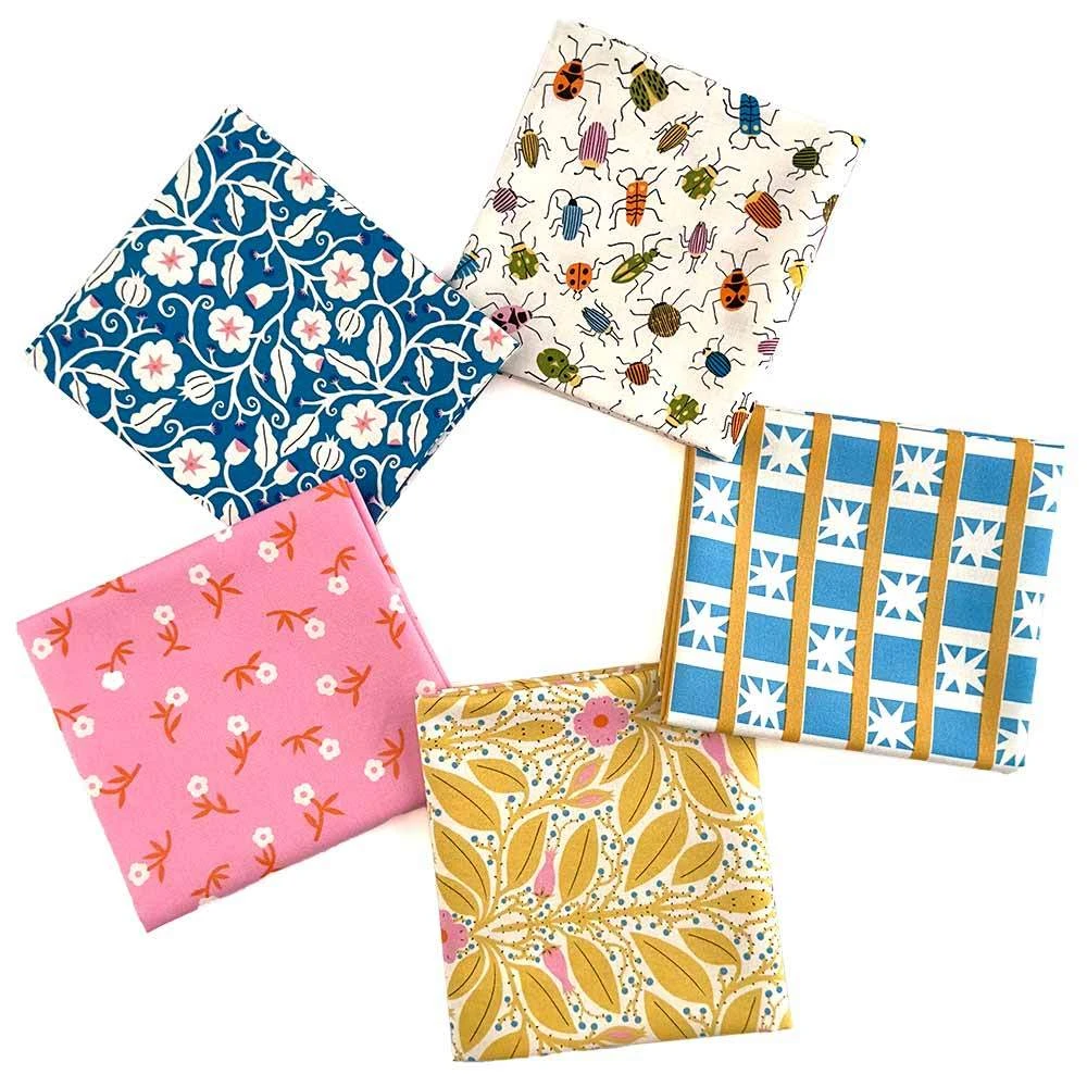 Through The Window - 5-Piece Bonus Quarter Bundle 1 Through The Window - 5-Piece Bonus Quarter Bundle