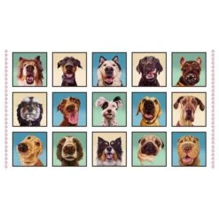 Elizabeth's Studio - Follow Your Nose - Lucia Heffernan - Dog Follows His Nose - White - 24" X 44" Panel