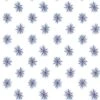 Andover Fabrics - Tradition - Star Burst - Light Blue - Yardage 5 Andover Fabrics - Tradition - Star Burst - Light Blue - Yardage -Keepsake Quilting Shop 1019132W 01
