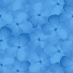 Blank Quilting - Bloom 108" - Blue - 108" Wide 3-Yard Back Pack