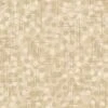 Blank Quilting - Jot Dot - The Blank Quilting Corp - Tonal Texture & Dots - Beige - Yardage 3 Blank Quilting - Jot Dot - The Blank Quilting Corp - Tonal Texture & Dots - Beige - Yardage -Keepsake Quilting Shop 1020078U 01