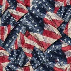 Riley Blake Designs - Coming Home By Vicki Gifford - Flags - Multi - 108" Wide 3-Yard Back Pack