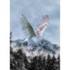 Barn Owl - Call Of The Wild - A Hoffman Spectrum Digital - 31" X 42-1/2" Panel 2 Barn Owl - Call Of The Wild - A Hoffman Spectrum Digital - 31" X 42-1/2" Panel -Keepsake Quilting Shop 1020732 01