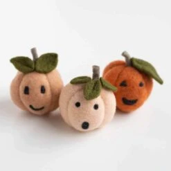 Felted Sky- Pumpkin Friends Needle Felting Kit