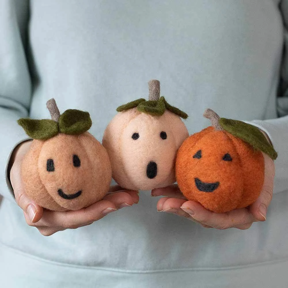 Felted Sky- Pumpkin Friends Needle Felting Kit 2 Felted Sky- Pumpkin Friends Needle Felting Kit - Image 2