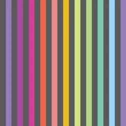 FreeSpirit Fabrics - True Colors By Tula Pink Fall 2025 - Disco Stripe - Carbon - Yardage