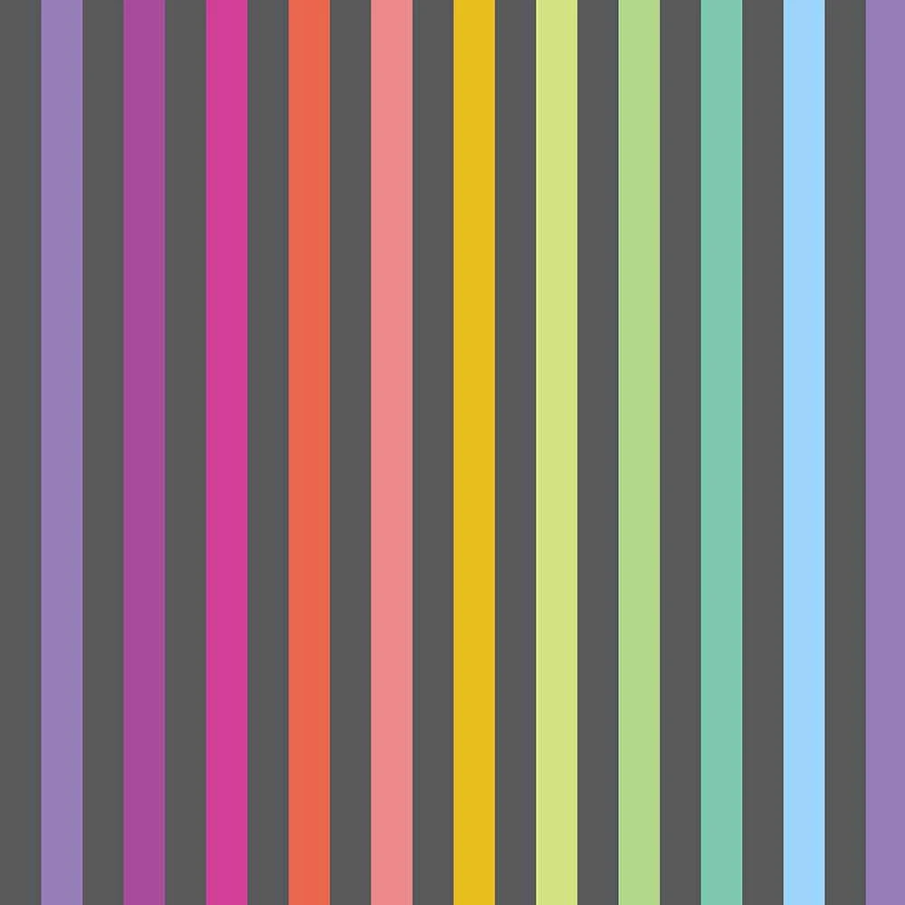 FreeSpirit Fabrics - True Colors By Tula Pink Fall 2025 - Disco Stripe - Carbon - Yardage 1 FreeSpirit Fabrics - True Colors By Tula Pink Fall 2025 - Disco Stripe - Carbon - Yardage