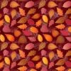 P&B Textiles - Harvest Mini's By Pink Light Studio - Graphic Leaves - Maroon - Yardage -Keepsake Quilting Shop 1021160L 01