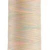 Omni Variegated Polyester Thread 40wt 2000yd Fairy Floss -Keepsake Quilting Shop 14502 9024 01 0a0ed7a9 21f3 44f6 890f 7c4f331240cd