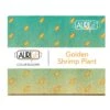 2022 Color Builder 50wt 3pc Set Golden Shrimp Plant 2 2022 Color Builder 50wt 3pc Set Golden Shrimp Plant -Keepsake Quilting Shop AC50CP3 016 01 d806c778 9077 4f23 a5e2 2baabfe0fdfe