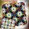 Gemstone Wedding Star Quilt Pattern By Judy Niemeyer