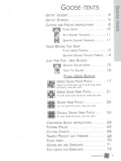 Flying Geese & More -Keepsake Quilting Shop LGD801 03