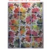 Garden Party Quilt Pattern By Laura Heine 7 Garden Party Quilt Pattern By Laura Heine -Keepsake Quilting Shop LHFWGP 01