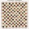 Dresden Sundaes Quilt Pattern By Susan Marth -Keepsake Quilting Shop SUZ265 01