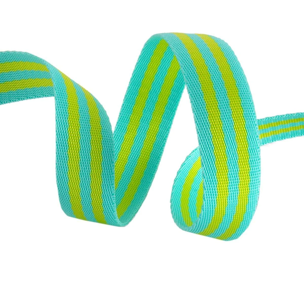 Tula Pink Webbing 2yd X 1in - Lime And Turquoise 1 Tula Pink Webbing 2yd X 1in - Lime And Turquoise